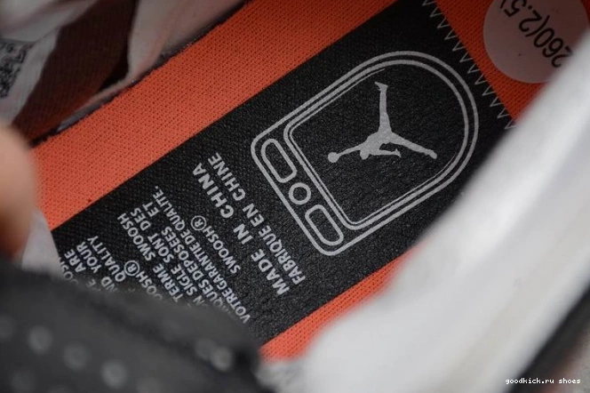Rep Zoom 1 High CT0979-602 (W) CMFT Jordan Canyon Air Rust 0705